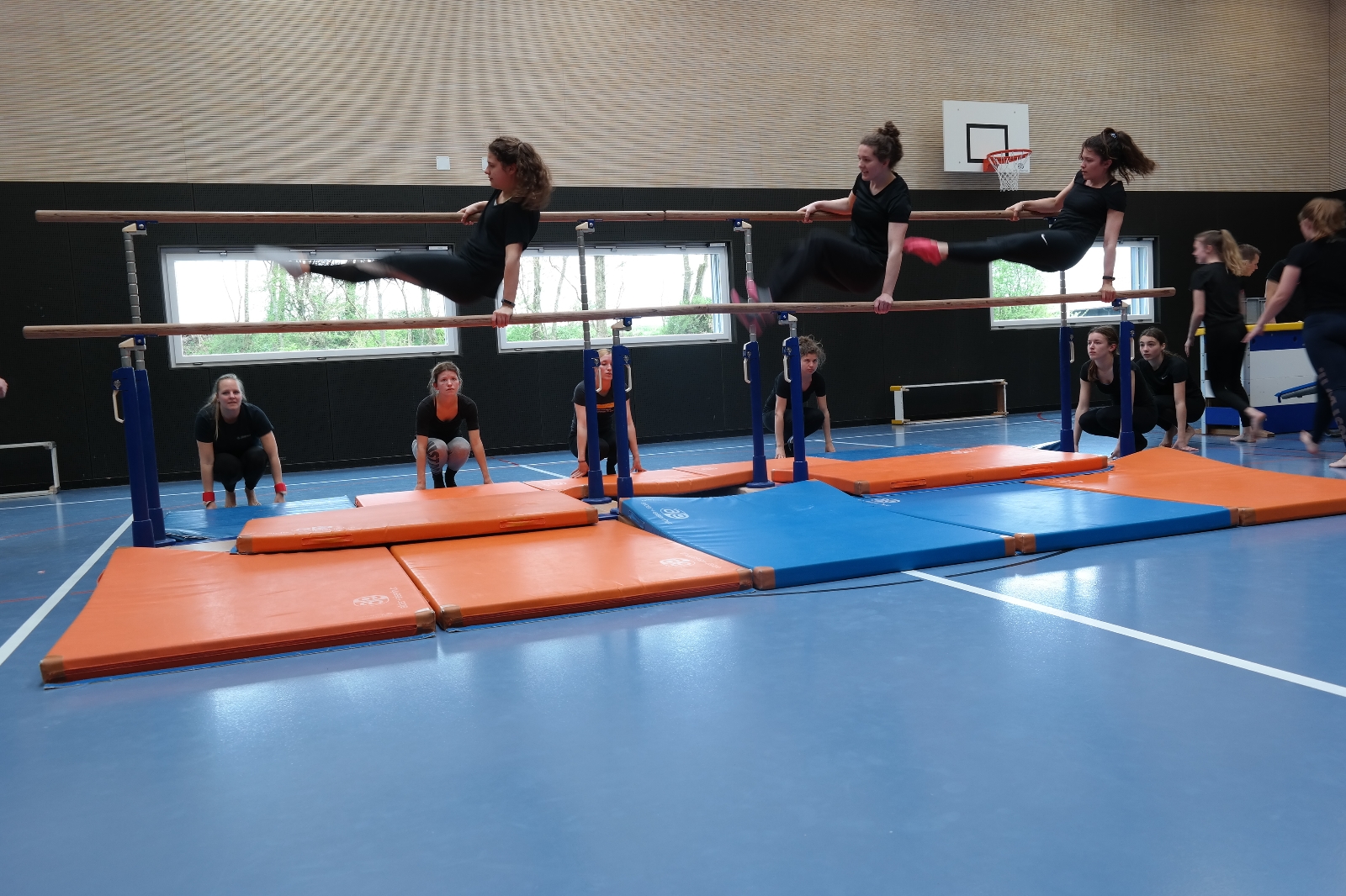Bild1 (62)